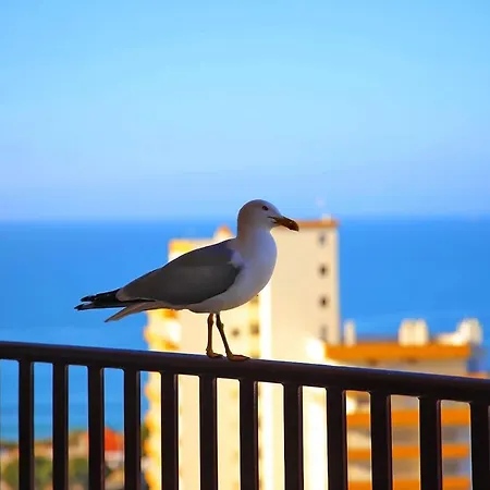 Wow Beach 2bd Flat Sea View - 300mts 2 Beach,wifi Апартаменты